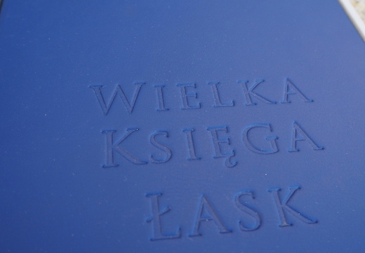 Wielkie Księgi Łask